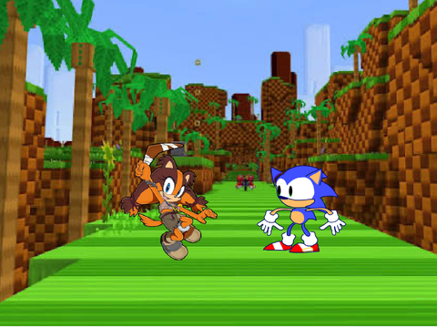 Sonic doesn’t listen 4
