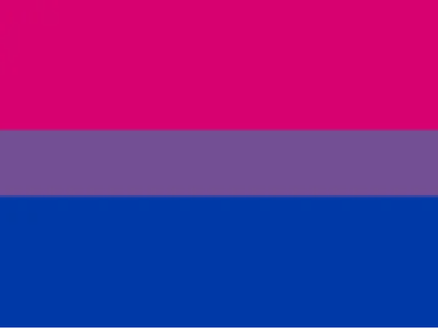 Hidden Bisexual Flag! :D