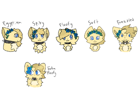 Style changes through the years