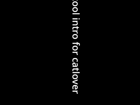 intro for catlover