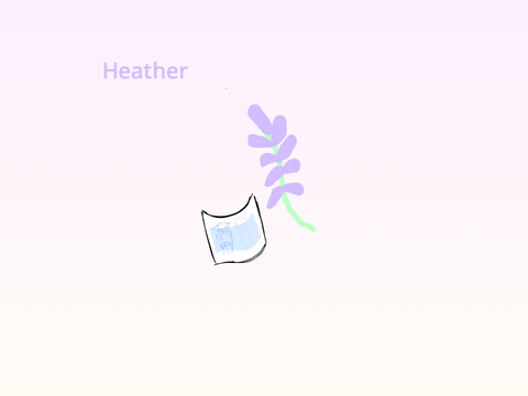 Heather || MAP Intro
