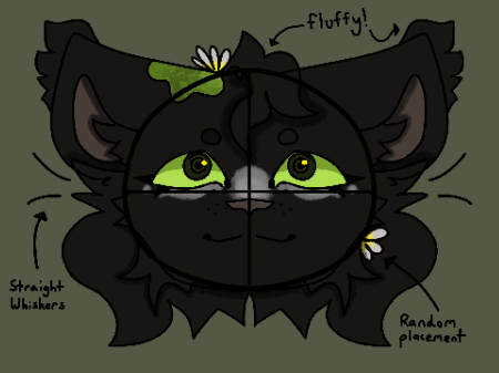 LEAFFOLDERPAW bio!!!!!!!!!!!?