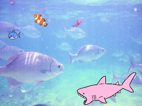 [STARTER] Feeding Fish