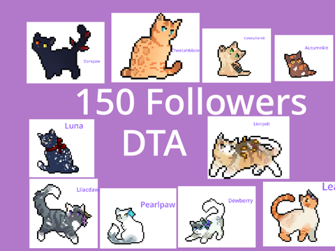 150 followers DTA