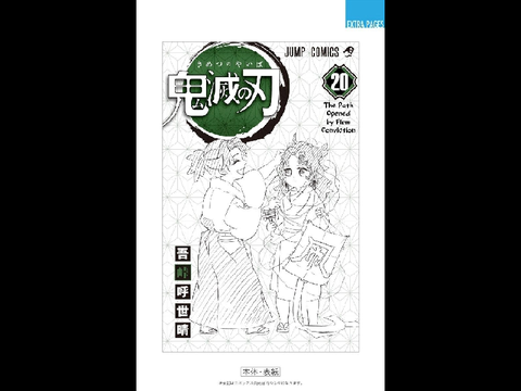 Demon Slayer Book 20