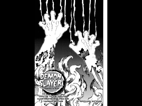 Demon Slayer Book 21