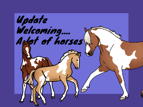 026. Update: Welcome home…a lot of horses