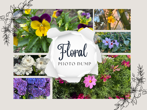 ❀ floral photo dump ✿ ⚘