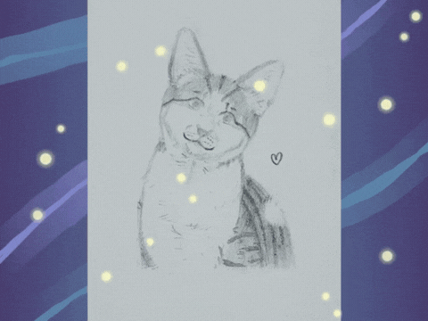 Pour la mémoire de Nala