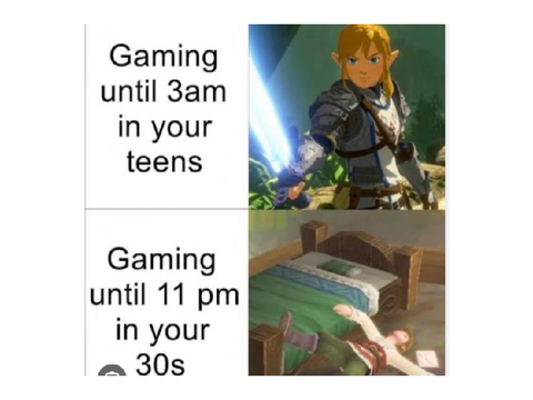 LOZ memes