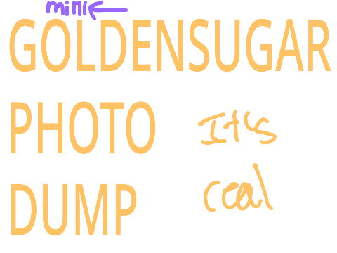 MINI GOLDENSUGAR PHOTO DUMP