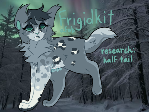 ✦「❛ '' SMOOTH CRIMINAL ,, ❜ FRIGIDKITS FOREST」✦
