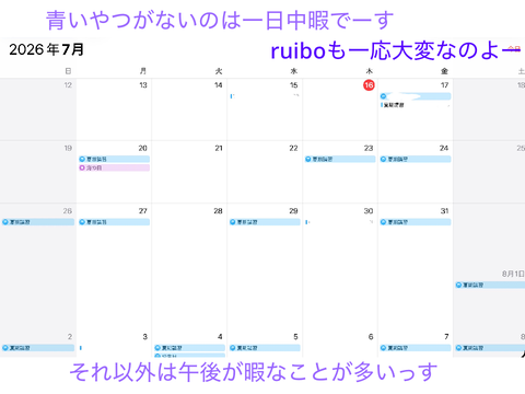 暇な日