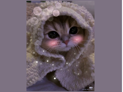 Meow...