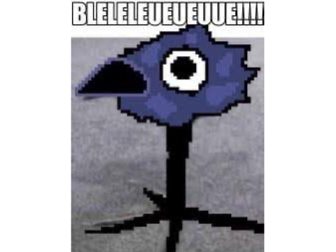 Memes