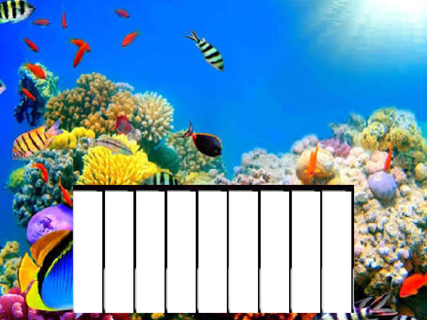 Fish, in D Major