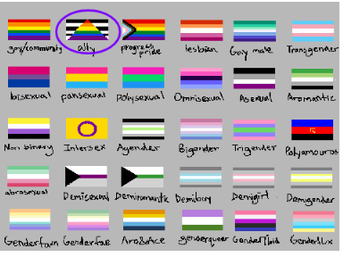 Circle Your Identity Flags