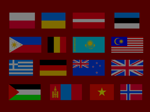 turbo flag band