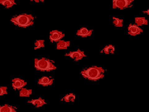 Eyes