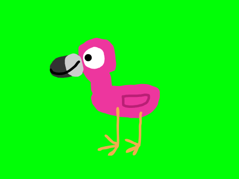 Nuts Nuts Nuts OCs: Flamingo Vector