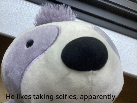 Update on Sid the Sloth