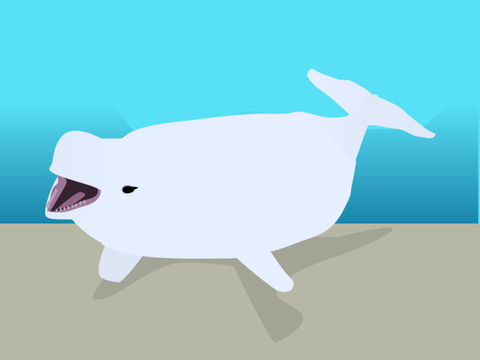 Beluga Whale Vector