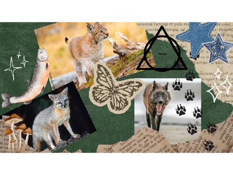 20 questions for otherpaws and alterhumans!