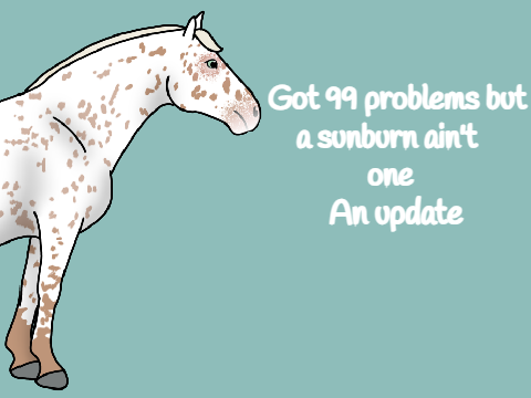 Got 99 problems but a sunburn ain't one | An update