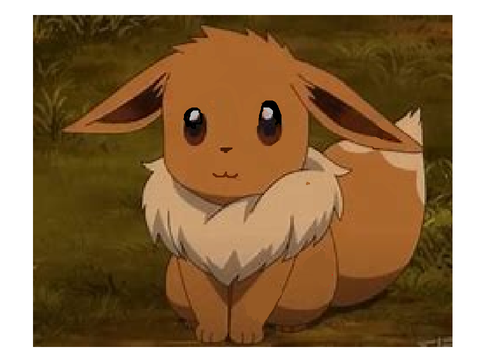 Eevee lives :3