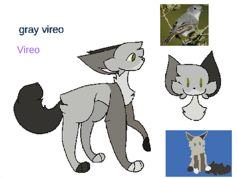 Vireo application..!