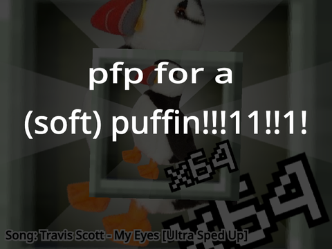 pfp for a soft puffin