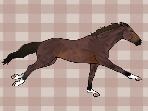 ✧ Chaser ✧