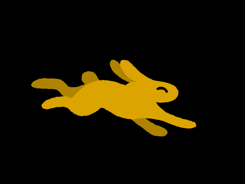 RUN RABBIT || A N I M E M E