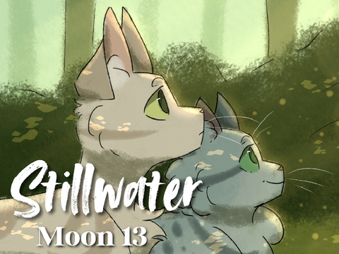 Moon 13 | Stillwater