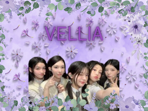 VELLIA News + Results