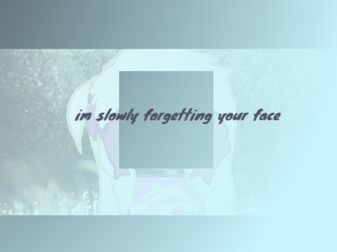 im slowly forgetting your face