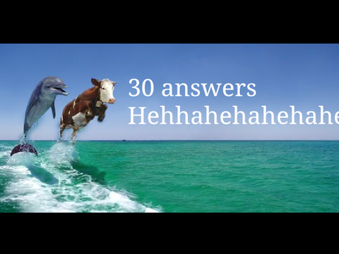 30 answers
