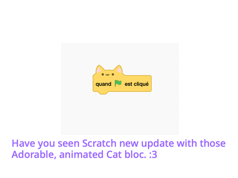 Cat Blocs?
