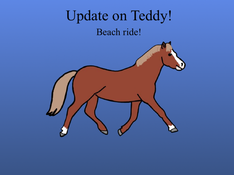 Update on Teddy!