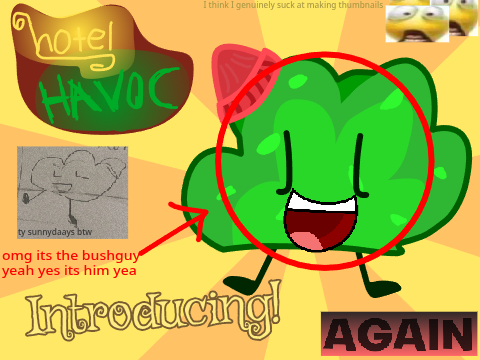 Bush for Hotel HAVOC (again) 