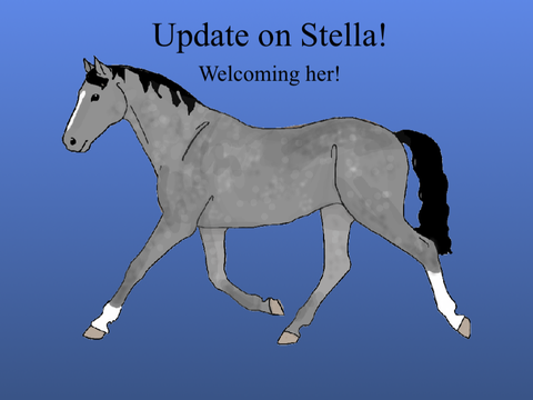 Update on Stella!