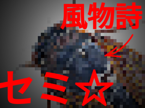 う　る　せ　ぇ　ん　だ　よ　！　（ブチギレ）（カオス）#淫夢　#淫夢語録　#語録洪水　#語録集　#野獣先輩