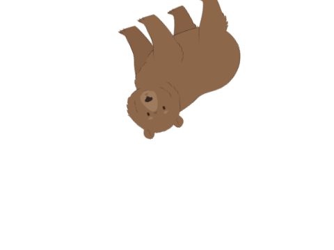 Crazy Bear