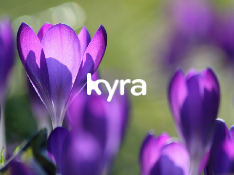 KyraOS Lavender Intro