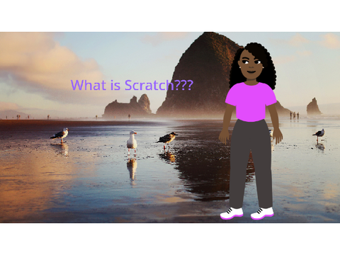 Welcome New Scratchers!