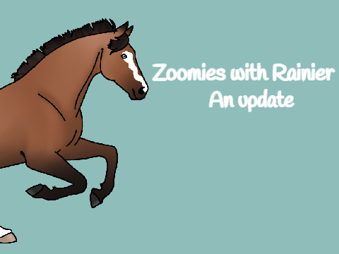 Zoomies with Rainier | An update