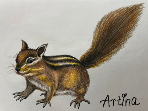 Chipmunk