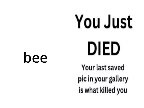 bee