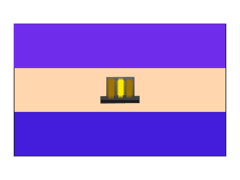 My Flag!