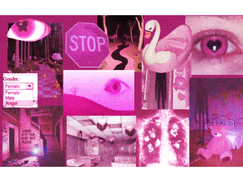 pink weirdcore for @chubs_the_cat